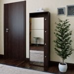 árbol de interior en el interior