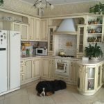 Perro en la cocina