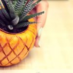 Olla de frutas