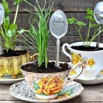 Taza olla