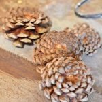 Piñas