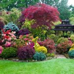 Liebre-arbusto en el jardín de flores