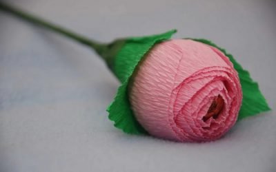 Rosas de papel corrugado