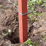 La columna está expuesta en una cuerda.