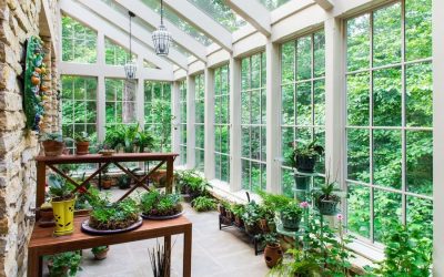 Cómo organizar un jardín de invierno