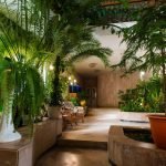 Plantas en la pasarela