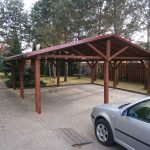 Pinos en el país