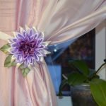 Orquídea en la ventana