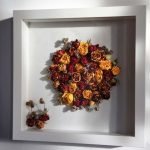Rosas de diferentes colores