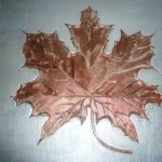 Pintura