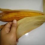 Recogiendo hojas