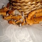 Preparando los cimientos