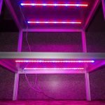 Estante de iluminación