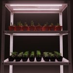 LED para luz de fondo