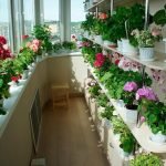 Flores en el balcon