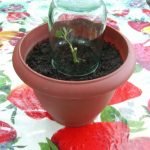 Propagación de una habitación rosa