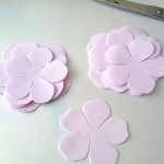 Pétalos de rosa