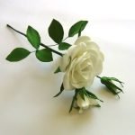 Rosa blanca