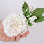 Rosa en las manos