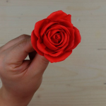 Rosa roja