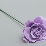 Rose en el tallo