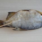Ponemos pescado en una brocheta