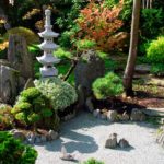 Piedras alrededor de un árbol