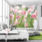 Tulipanes