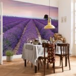 Campo de lavanda