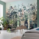 Plantas de interior en el interior.