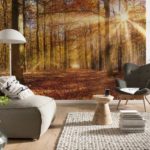 Bosque de otoño