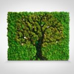Arbol en la foto