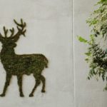 Pintura de musgo
