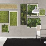 Pared con pinturas