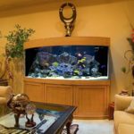 Acuario en la sala de estar