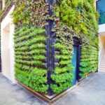 Pared verde