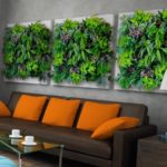 Panel de plantas