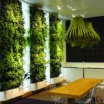 Plantas en la cocina