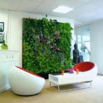 Muro de plantas