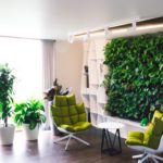 Plantas en la pared