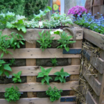 Palets para jardin vertical