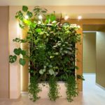 Plantas verdes