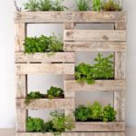 Pallet Garden