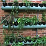Plantas en el tubo