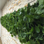 Pared vertical
