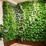 Jardín vertical en el apartamento