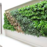 Pared verde