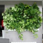 Opción de colocación de Phytowall