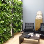 Muro viviente
